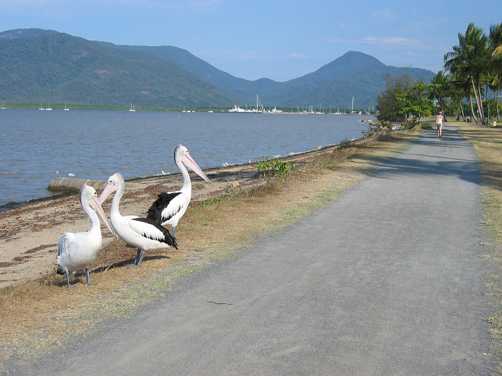 200 Cairns Esplanade.jpg